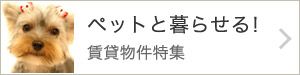 �y�b�g�ƕ�点��