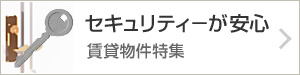 �Z�L�����e�B�����S
