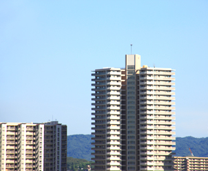 画像 画像