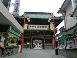西新井大師 西新井大師