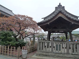 西新井大師 西新井大師