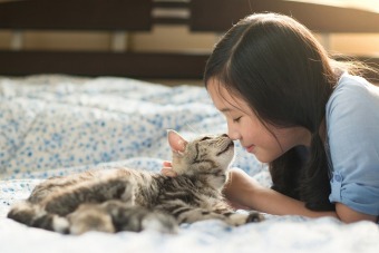 ペットも大事な家族の一員！犬や猫と一緒の引っ越しをする際の手順と注意点