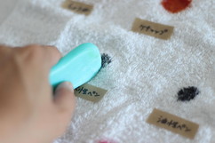 種から育てるガーデニングを成功させる 身近な代用アイテム4選 ニフティ不動産