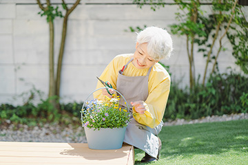 ほったらかしで毎年咲く花のおすすめ20選！簡単なお手入れ方法も紹介