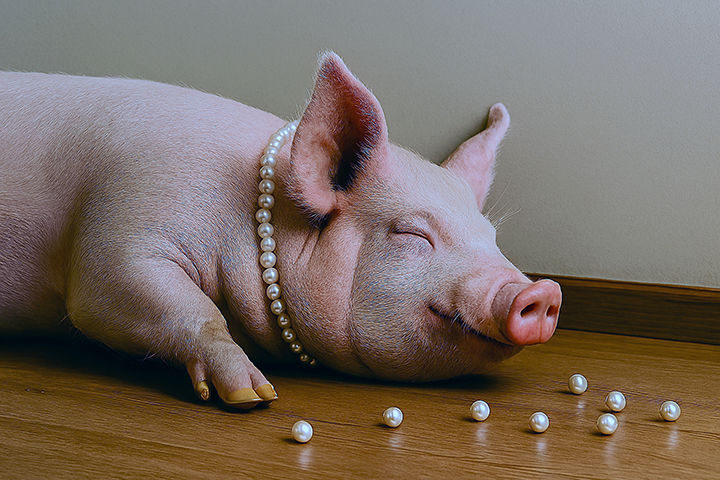 【ことわざ105選】有名なことわざ35個＋似た意味の70選をまとめて紹介