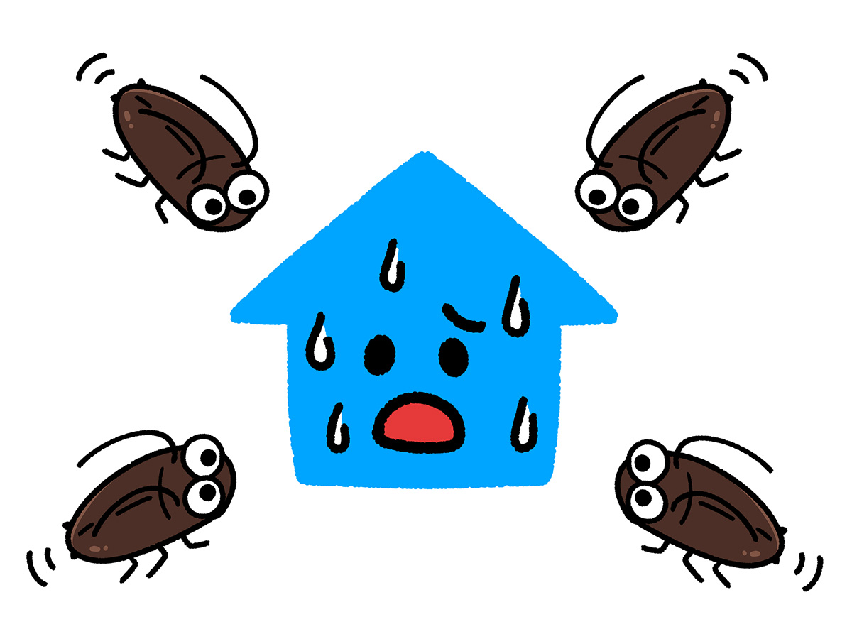 最強のゴキブリ対策はコレ！アパートでも一軒家でも効果的な方法まとめの画像04